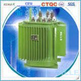 0.1mva 20kv Multi-Function High Quality Distribution Transformer