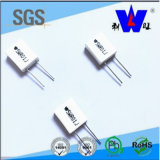 High Power Rgc Ceramic Encased Wirewound Resistor with RoHS