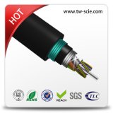 Loose Tube Fiber Optical Cable Double Armored GYTA53 with Steel Tape, Black PE