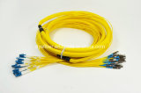Pre-Terminated Cable, 100% 3D Test, Mu-Sc/APC Optical Breakout Patch Cord, 24core