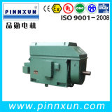 Three Phase Induction High Voltage Slip Ring Motor