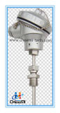 Thermocouples and Rtd Temperature Probes with Terminal Heads