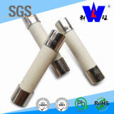 Size 5*20mm Fast Acting Ceramic Tube Fuse 250mA-10A