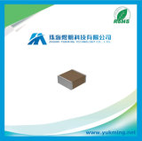 Multilayer Ceramic Chip Capacitor Vj2220A102kxustx1 of Surface Mount
