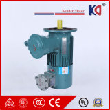 High Voltage Speed Regulating AC Motor for Packaging Machinery