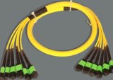 MPO-MPO Singlemode 76cores Trunk Fiber Optical Patch Cord