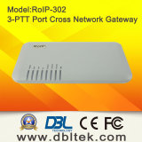 DBL Cross-Network Gateway (RoIP-302)