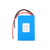Lithium Ion Batteries 12.8V10ah Battery Pack for Electric Car