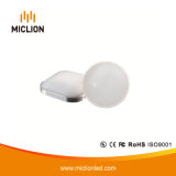 12W LED Induction Light with Ce RoHS UL