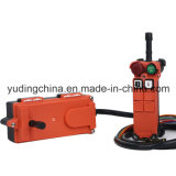 Material Lifting Equipment Using Wireless Remote Control F21-2s