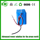 Competitive Price 11.1V10ah Lithium-Ion Battery Pack for UPS