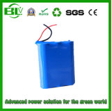 Rechargeable Battery for DVD of 11.1V1500mAh30A Lithium Ion Battery