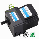 Hot Selling Chinese Electric DC Gear Motor for Sale
