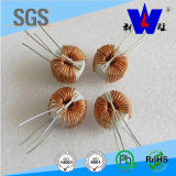 Lgh Toroidal Choke Coil Inductor for VCR