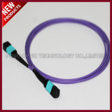 24F Array Fiber Optic MTP MTP Multimode OM3 Trunk Patch Cable
