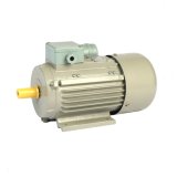 Y2 132s1-2 Series Three Phase High Efficiency Induction AC Motor
