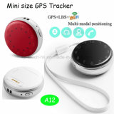 Hidden Mini Portable GPS Tracker for Child/Personal with Multiposition A12