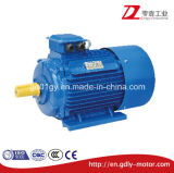 Russia GOST Standard Three Phase Induction Motor, Cast Iron