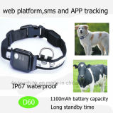 Waterproof Pet GPS Tracker with Geo Fence and Large Battery Capacity D60