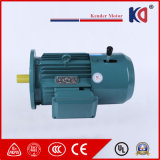 660V 50Hz Induction AC Braking Motor for Packaging Machinery