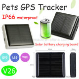 IP66 Waterproof Solar Charging GPS Tracking Device for Animals (V26)