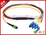 24 MPO LC Cores Fiber Optical Pre-assembled Cable