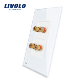 Livolo Outlet Plug Glass Plate Two Gang Audio Socket Vl-C592A-11/12