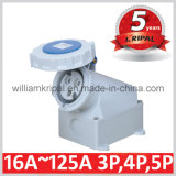 IP67 16A 2p+E Cee Electrical Socket
