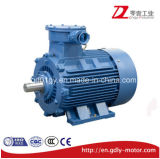 Explosion Proof 4 Poles Three Phase Electrical Induction Electric Motor