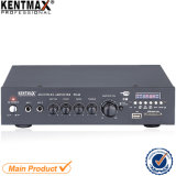 USB FM Signal 30W Stereo Amplifier LED Display