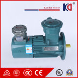 Variable Frequency Drive Explosion Proof Induction Motor