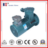Yvbp Series Three-Phase Induction Motor with Variable Frequency Drive