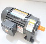 Inline Helical Gear Reducer 0.1kw 3-Phase Small AC Motor