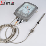 Professional Manufacturer About Wtyk-802 Transformer Oil Thermometer