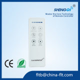 2017 New Siliver RF Remote Control with IMD Panel (F30)
