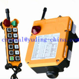 Industrial Mobile Crane Remote Controller (F24-12D)