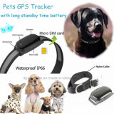 Hot Selling Pet GPS Tracker with SIM Card Slot (EV-200)