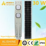 All in One Solar Street LED Lighting with Ce Certificate IP65