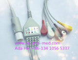 Hellige Snap&Clip Green 10pin 3 ECG Cable