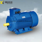 37kw, 2-Pole Y2 Series 3-Phase Induction Motor