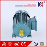 Y2 Series AC Asynchronous Motor with High Efficiency