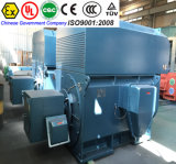 710kw Rolling Mill Electric DC Motor