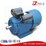 High Efficiency Double Value Capacitor Single Phase Induction Electric Motor