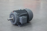 Sm Series Industrial Machine Machinery Three-Phase Induction Motor