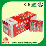 R6p Battery/AA Dry Battery