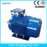 Ye3 315kw-4p Three-Phase AC Asynchronous Squirrel-Cage Induction Electric Motor for Water Pump, Air Compressor