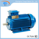 132kw Ie2 Ye3-315m-2 Cast Iron Three Phase Asynchronous AC Electric Motor