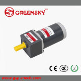 Hot Selling! GS Long Life High Quality 15W 60mm DC Motor