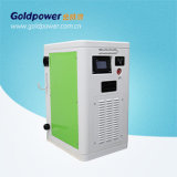 30kw Double Gun DC Quick Charger for Electric Car
