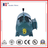 Electric AC Induction Embr Electric (Electrical) Motor for Food Processing Machinery